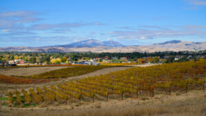 Livermore, CA landscape