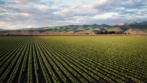 Farmland and rolling hills in Santa Maria, California